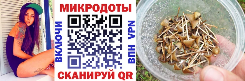 Псилоцибиновые грибы Psilocybine cubensis  наркота  Красноперекопск 