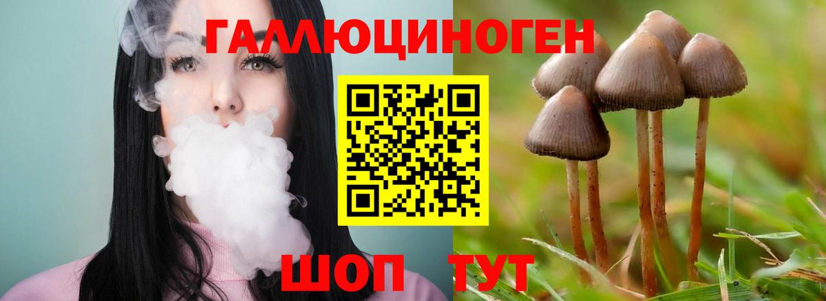 Красноперекопск  Псилоцибиновые грибы мицелий  Вход с VPN  Галлюциногенные грибы Magic Shrooms 